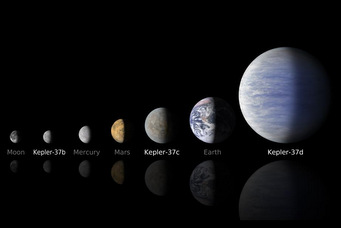 Kepler-37's exoplanets