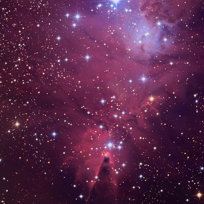 The Cone Nebula and The Christmas Tree Cluster Sky & Telescope