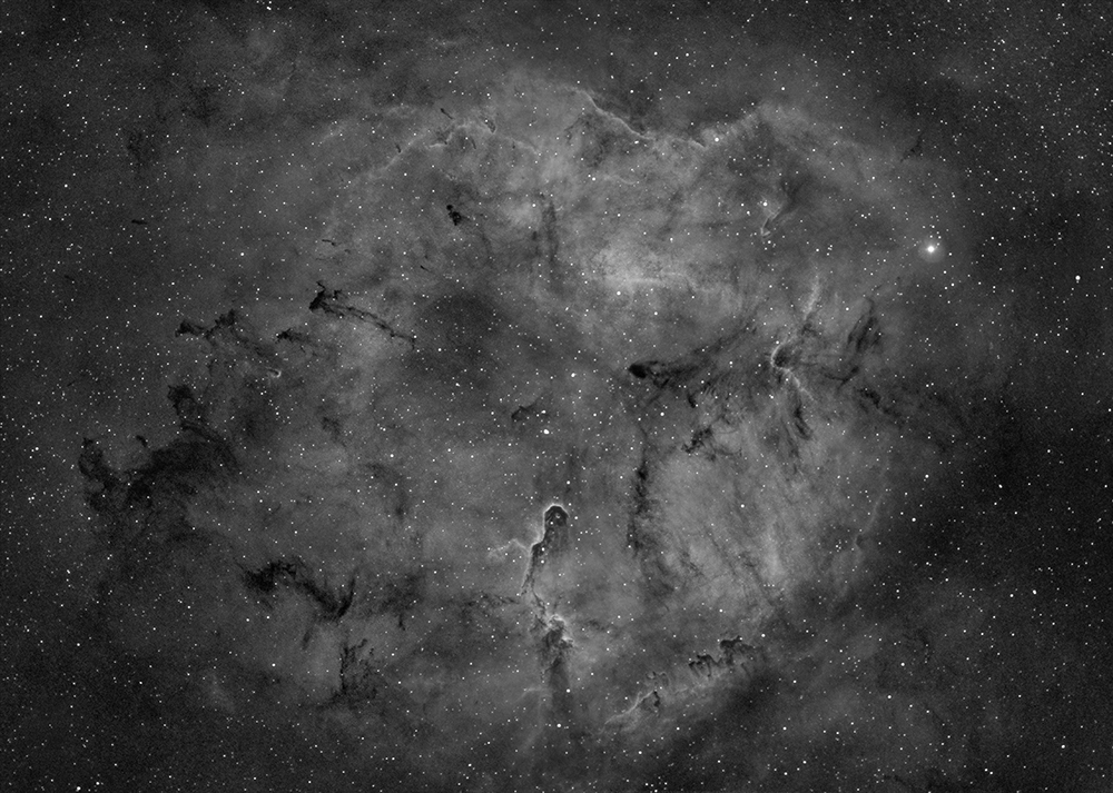 Interstellar gas and dust in Cepheus Sky & Telescope