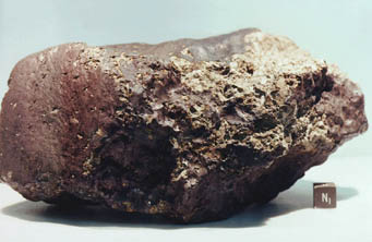 Mars meteorite ALH 814001
