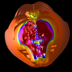 Supernova simulation in 3D