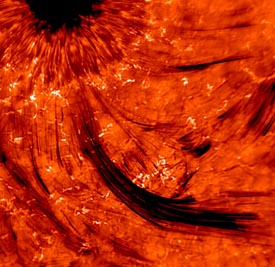 Sunspot close-up in H-alpha light