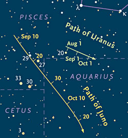 Finder chart for Juno and Uranus