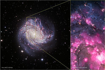 Ultraluminous X-ray source in spiral galaxy M83
