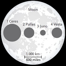 Moon and asteroids compared