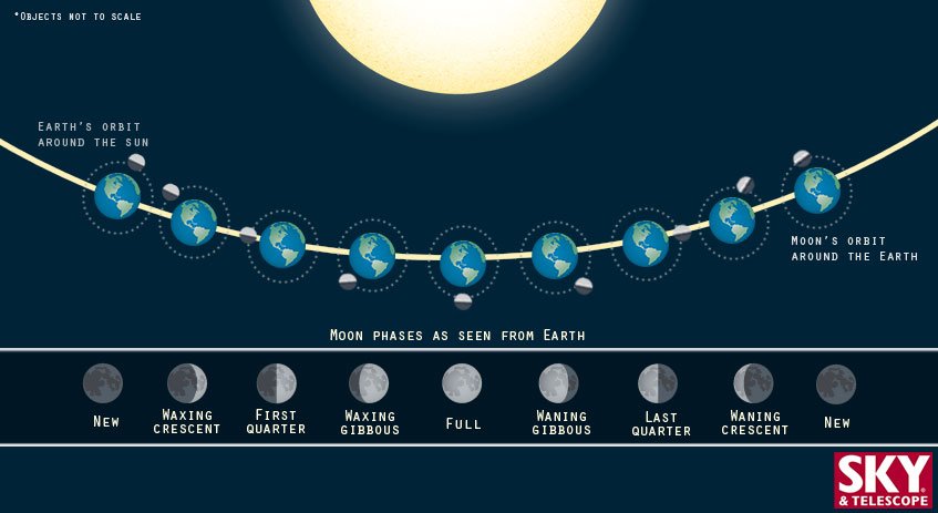 How can I tell what phase the moon is in?