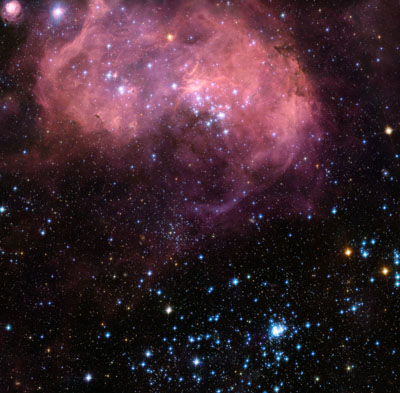 N11, the Bean Nebula