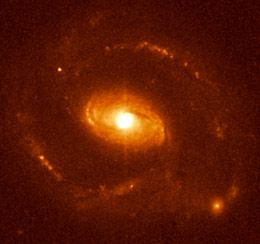 quasar host galaxy