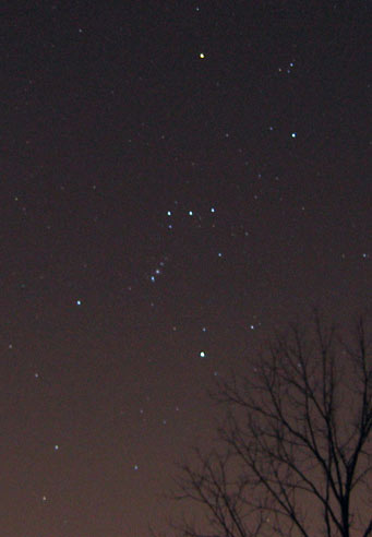Early-spring Orion