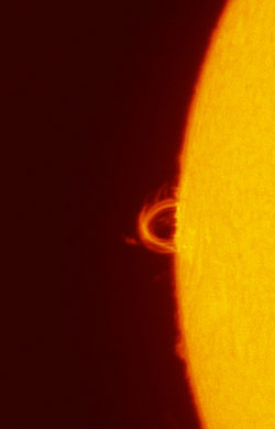 Prominence on limb