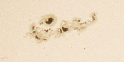 Sunspot closeup