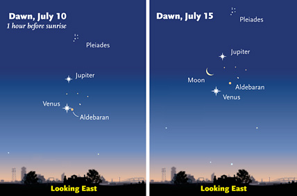 Predawn grouping in July 2012