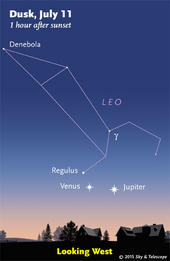 Venus and Jupiter move wider apart (and lower) every day, as Regulus draws closer to them.