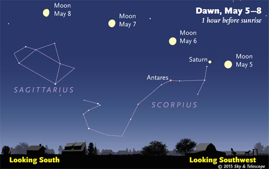 By dawn, the Moon, Saturn, and Scorpius have tinted way over on their journey to the  southwest.