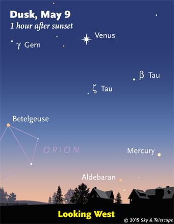 The Taurus horn stars have slid well below Venus, and Mercury has faded. 