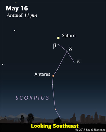 Saturn shines above upper Scorpius late these evenings.