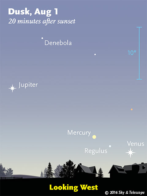 Jupiter, Mercury, Regulus, and Venus after sunset, Aug. 1, 2016