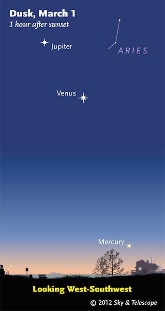 Bright Objects in the Night Sky include the Moon, Venus, Jupiter, Sirius, Mars, Mercury and Canopus!