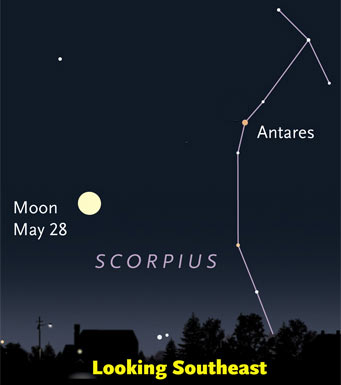 Moon and Scorpius rising in early evening, Friday May 28th