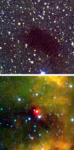 Dark nebula Lynds 1014