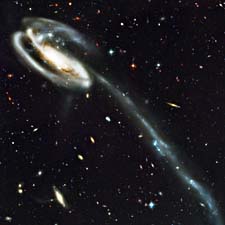 The Tadpole Galaxy