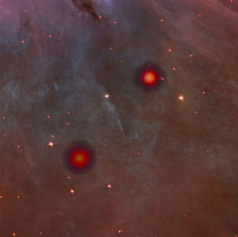 brown dwarf binary