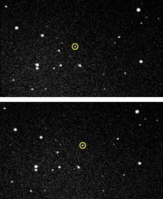 Asteroid 9983 Rickfienberg