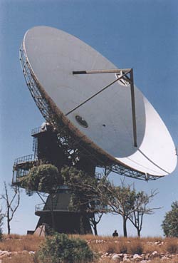 Carnarvon dish