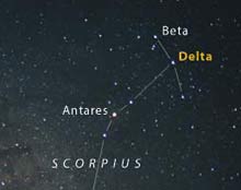 Head of Scorpius