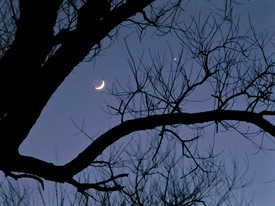 Moon and Venus