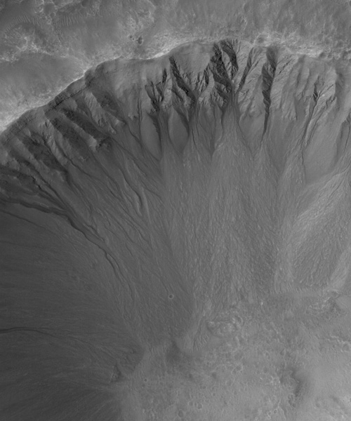 Gullies in Newton Crater