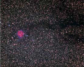 Cocoon Nebula.