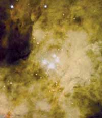 Orion Nebula
