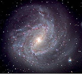 Spiral galaxy M83