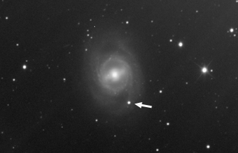 supernova in M95