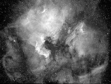 splendid Cygnus nebulae