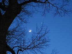 Moon and Venus