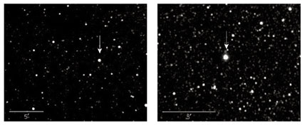 2 novae in Sagittarius