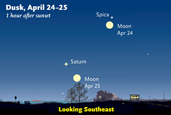 Saturn and Spica in April