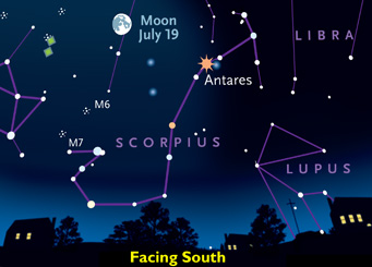 Finding Scorpius in July