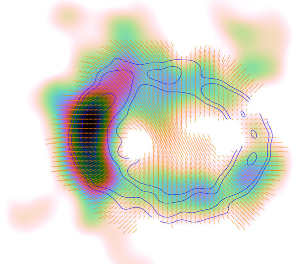 Magnetic field in SN 1987A