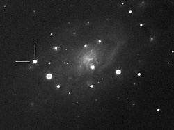 Supernova in NGC 2403