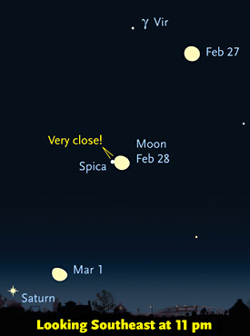 Close Spica-Moon conjunction