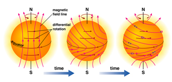 Sun's magnetic field: A Solar Cycle