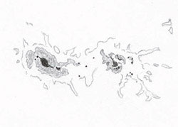 Sketch of a sunspot group