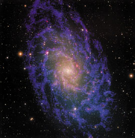 M33