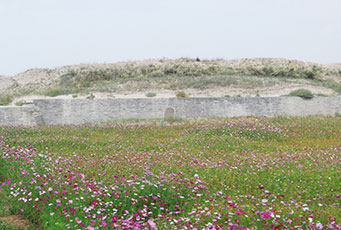 Ruins of Xanadu