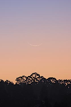 Thin crescent Moon