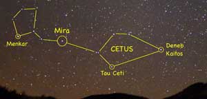 Cetus and Tau Ceti