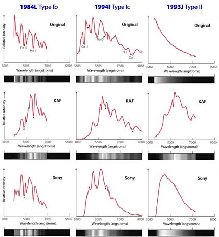 Supernova Spectra